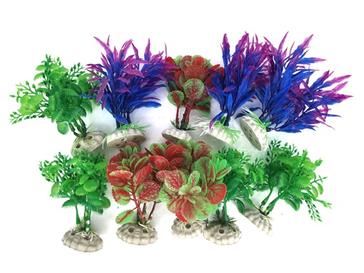[PP-56A4] PLANTA DE ACUARIO C/BASE SMALL 4" 10/1