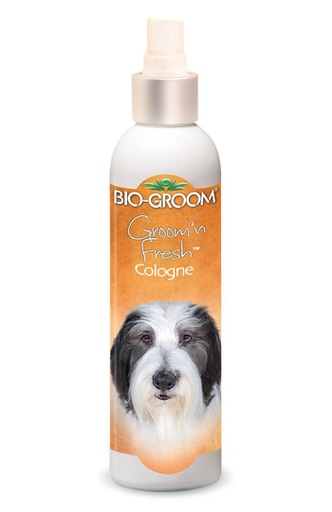 PRODUCTO PERRO COLONIA
