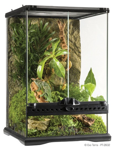 TERRARIO DE CRISTAL