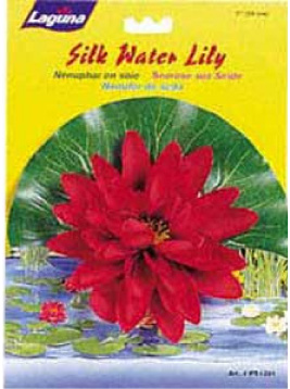 [PT-1221] PLANTA DE ESTANQUE LIRIO SEDA ROJO