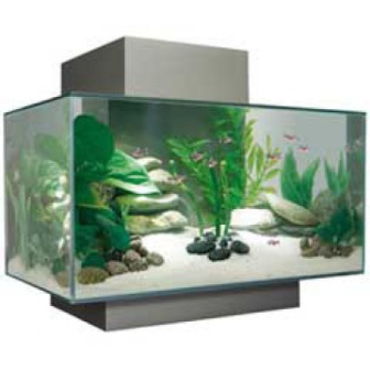 KIT PECERA FLUVAL EDGE