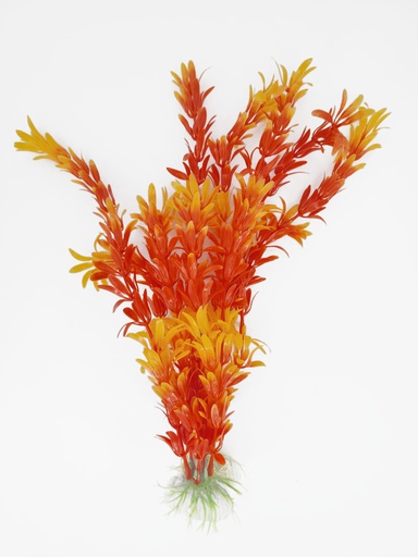 [PP-20D12] PLANTA DE ACUARIO C/BASE LARGE 12" 10/1
