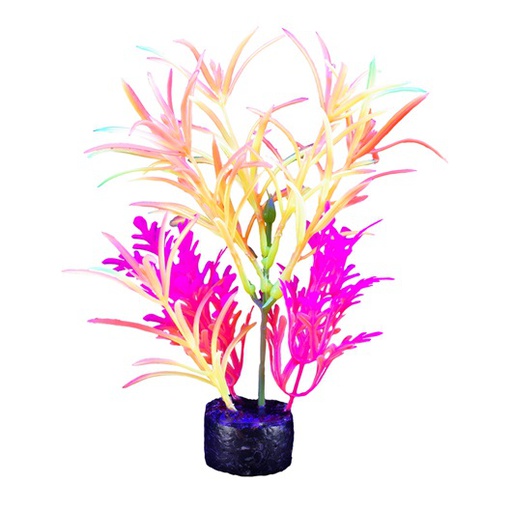[PP-1013] PLANTA DE ACUARIO MEDIUM NEON 7.5"
