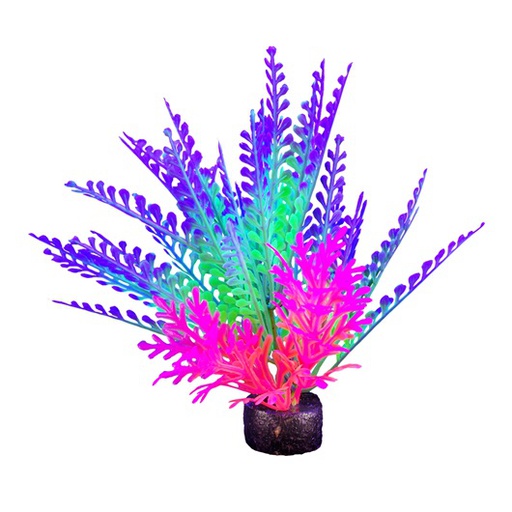 [PP-1018] PLANTA DE ACUARIO SMALL NEON 5.5"