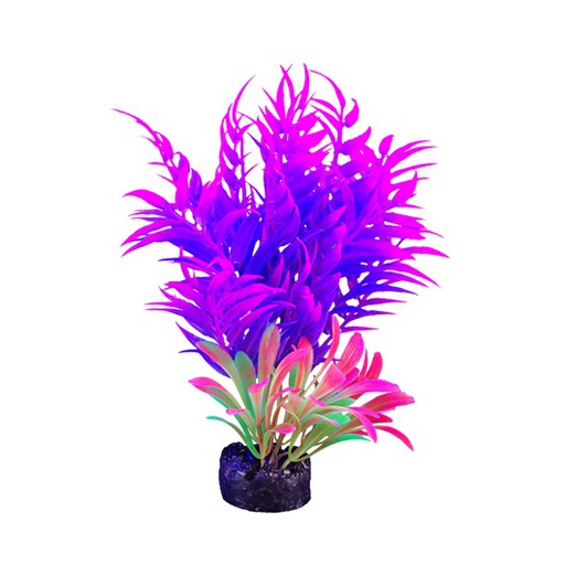 [PP-1020] PLANTA DE ACUARIO SMALL NEON 5.5"
