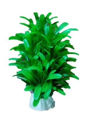 [HS-15B8] PLANTA DE ACUARIO C/BASE MEDIUM 8" 5/1