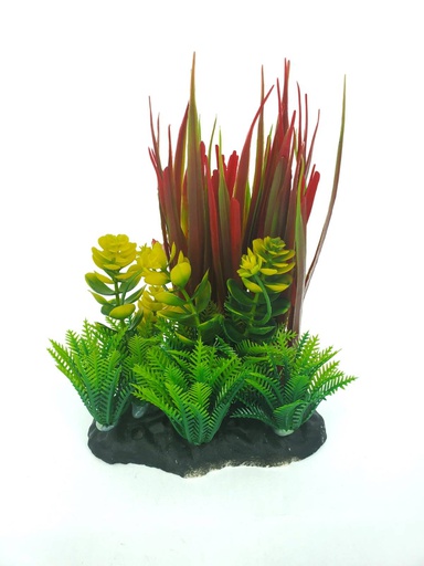 [PP-82D7] PLANTA DE ACUARIO C/BASE DUO MEDIUM 6.5"