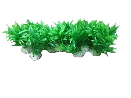 [PP-86B4] PLANTA DE ACUARIO C/BASE SMALL 4" 10/1