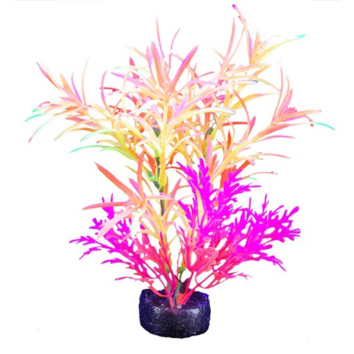 [PP-1014] PLANTA DE ACUARIO SMALL NEON 5.5"