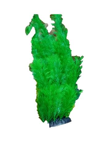 [PP-83B16] PLANTA DE ACUARIO C/BASE XLARGE 16"