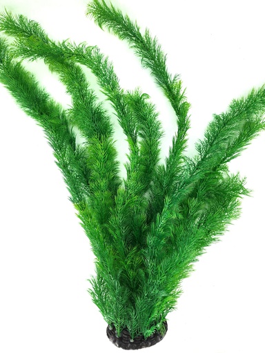[PP-83B24] PLANTA DE ACUARIO C/BASE JUMBO 24"