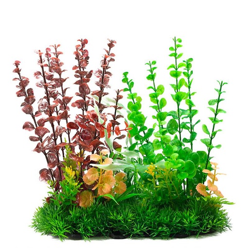 [30550] PLANTA DE ACUARIO C/BASE XLARGE 12"x14"