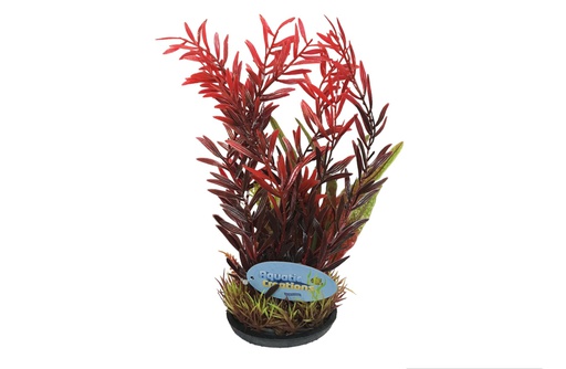 [22124] PLANTA DE ACUARIO C/BASE LARGE 11"