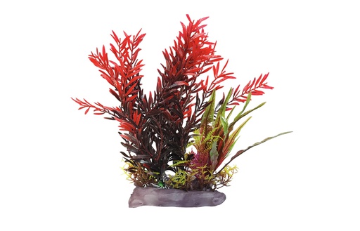 [22125] PLANTA DE ACUARIO C/BASE LARGE 11"