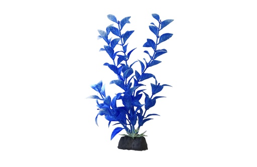 [22127] PLANTA DE ACUARIO C/BASE MEDIUM 8"